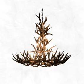 12 Light XL Mule Deer Chandelier - The Kennedy