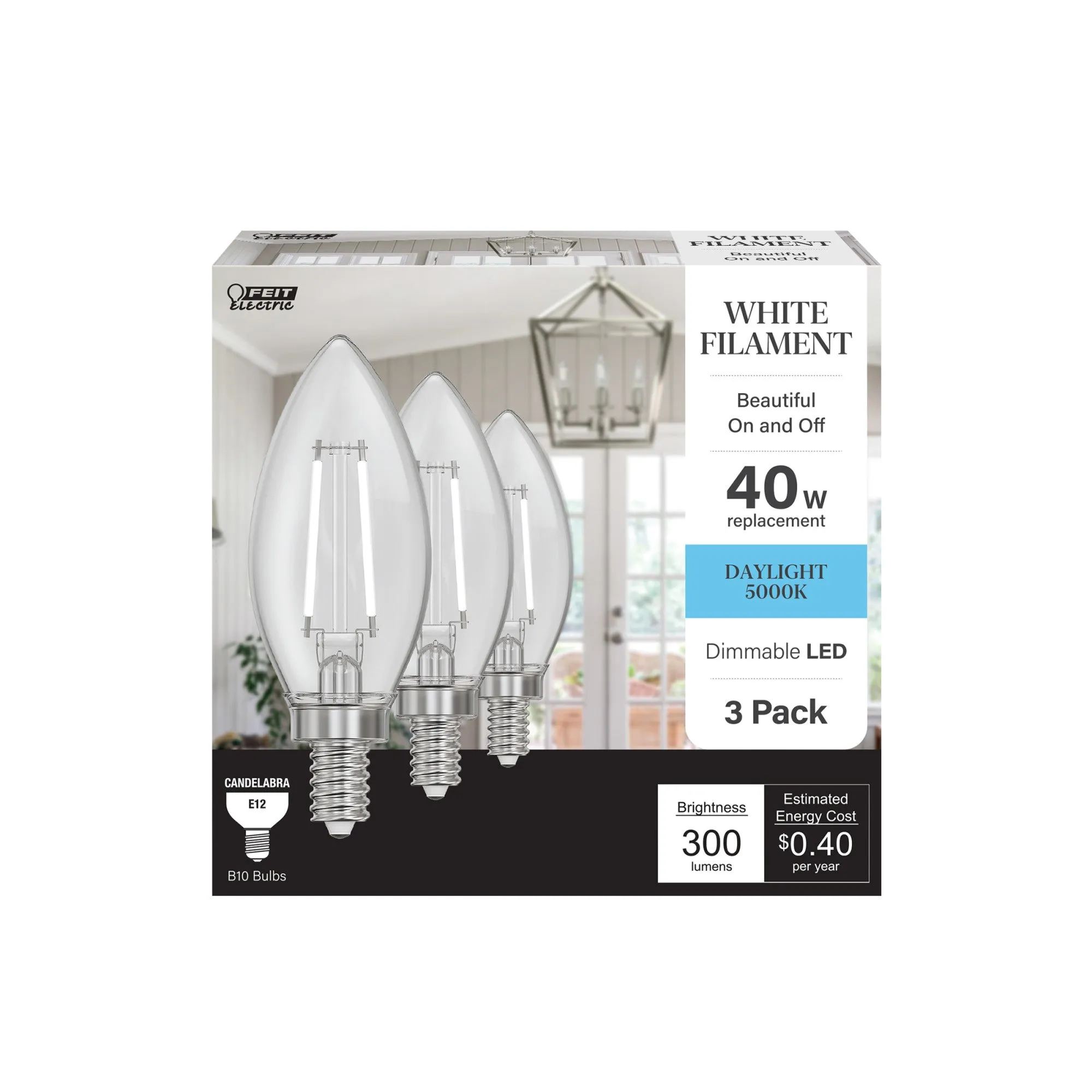 3.3W (40W Equivalent) Daylight White (5000K) E12 Base B10 White Filament LED Bulb (3-Pack)