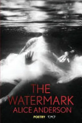 Anderson, Alice: The Watermark