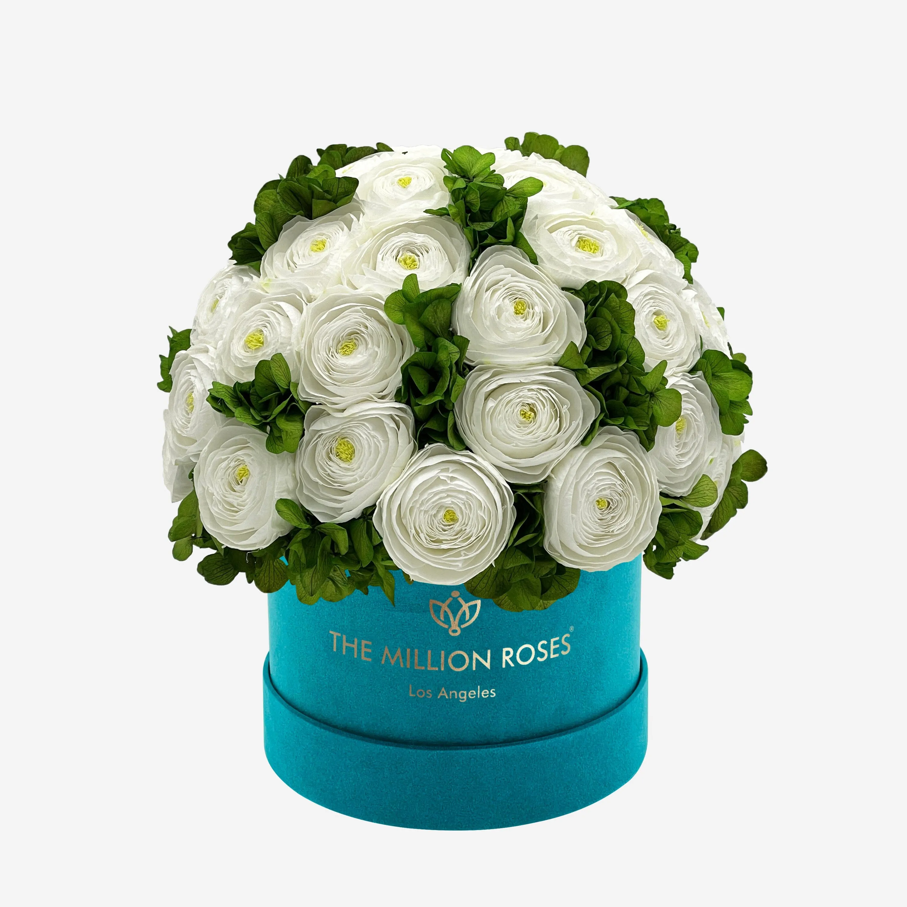 Classic Dark Green Suede Box | White Persian Buttercups & Green Hydrangeas