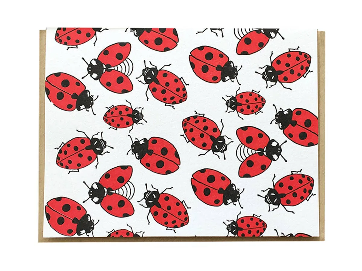 Lady Bugs Card: Boxed Set of 6