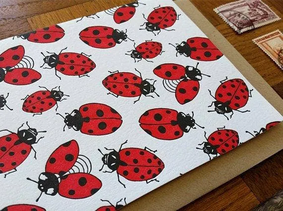 Lady Bugs Card: Boxed Set of 6