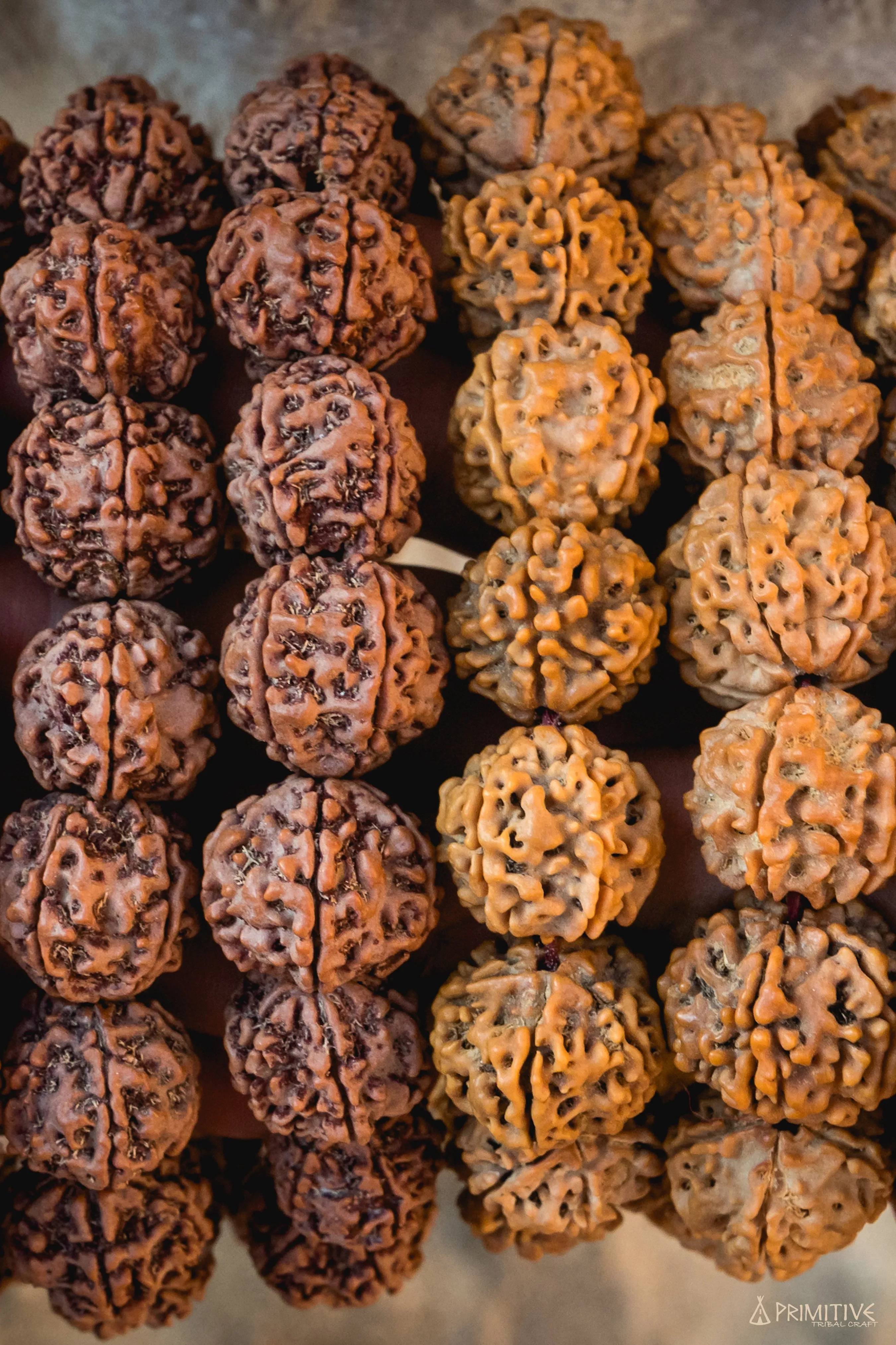 Large ๑ Rudraksha Seeds ๑ Mala