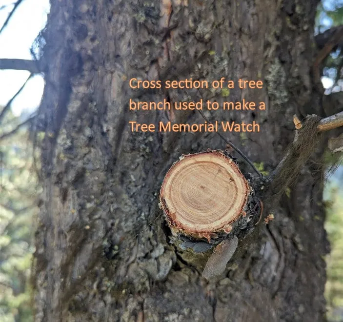 Living Tree Urn Watch Memorial Gift.  Crafted from the branch of a living tree.