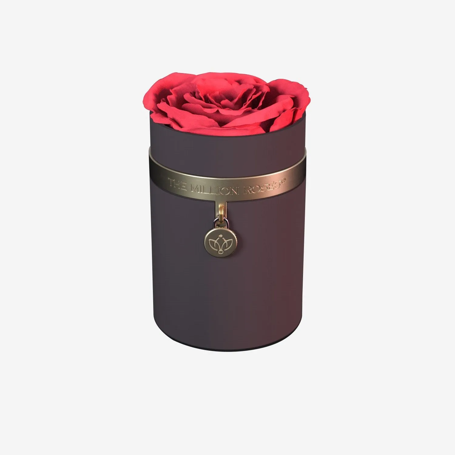 One in a Million™ Round Coffee Box | Charm Edition | Coral Rose