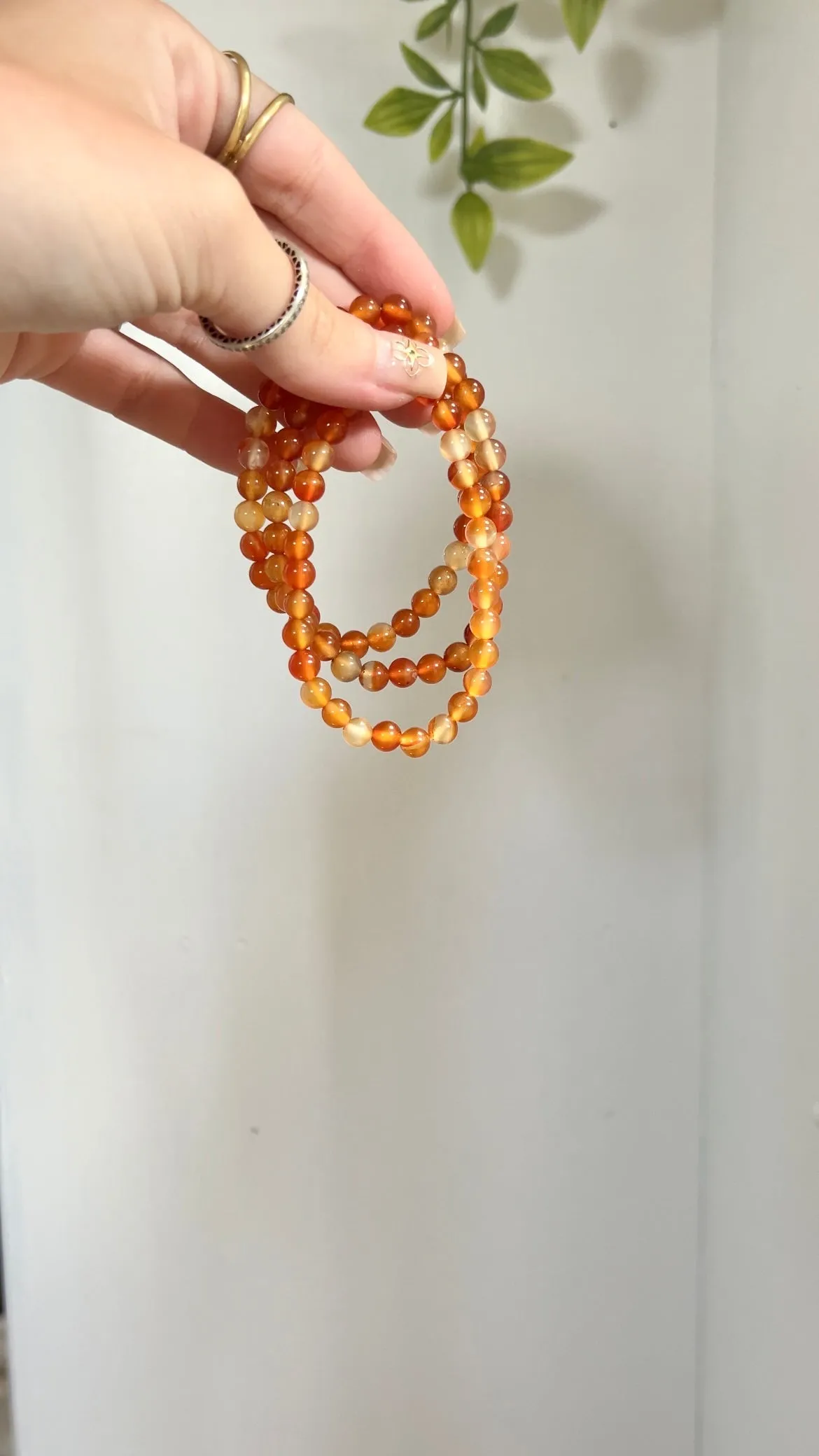 Sacral Secrets • Carnelian Bracelet