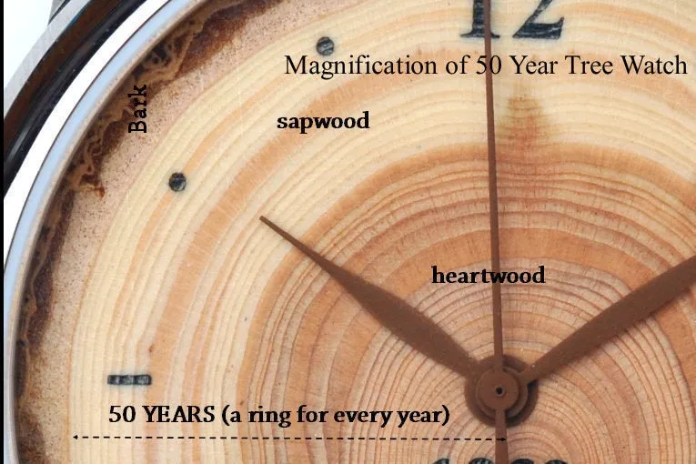 Tree Ring - 50 Years