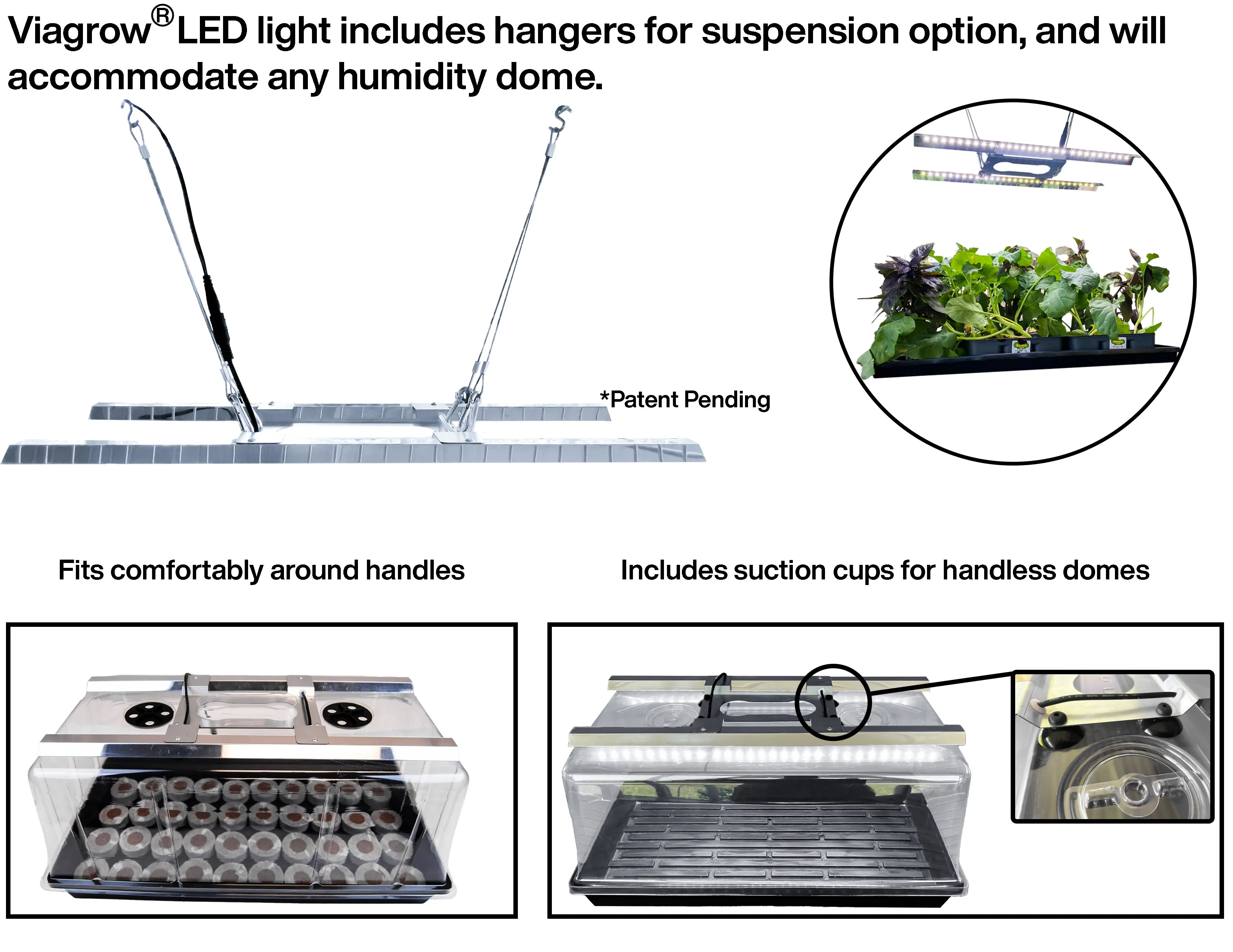 Viagrow Seedling Station Deluxe Kit with LED Grow Light, Propagation Dome, 4x Durable Seedling Tray, 50 Coir Seedling Starters & Heat Mat (EA)