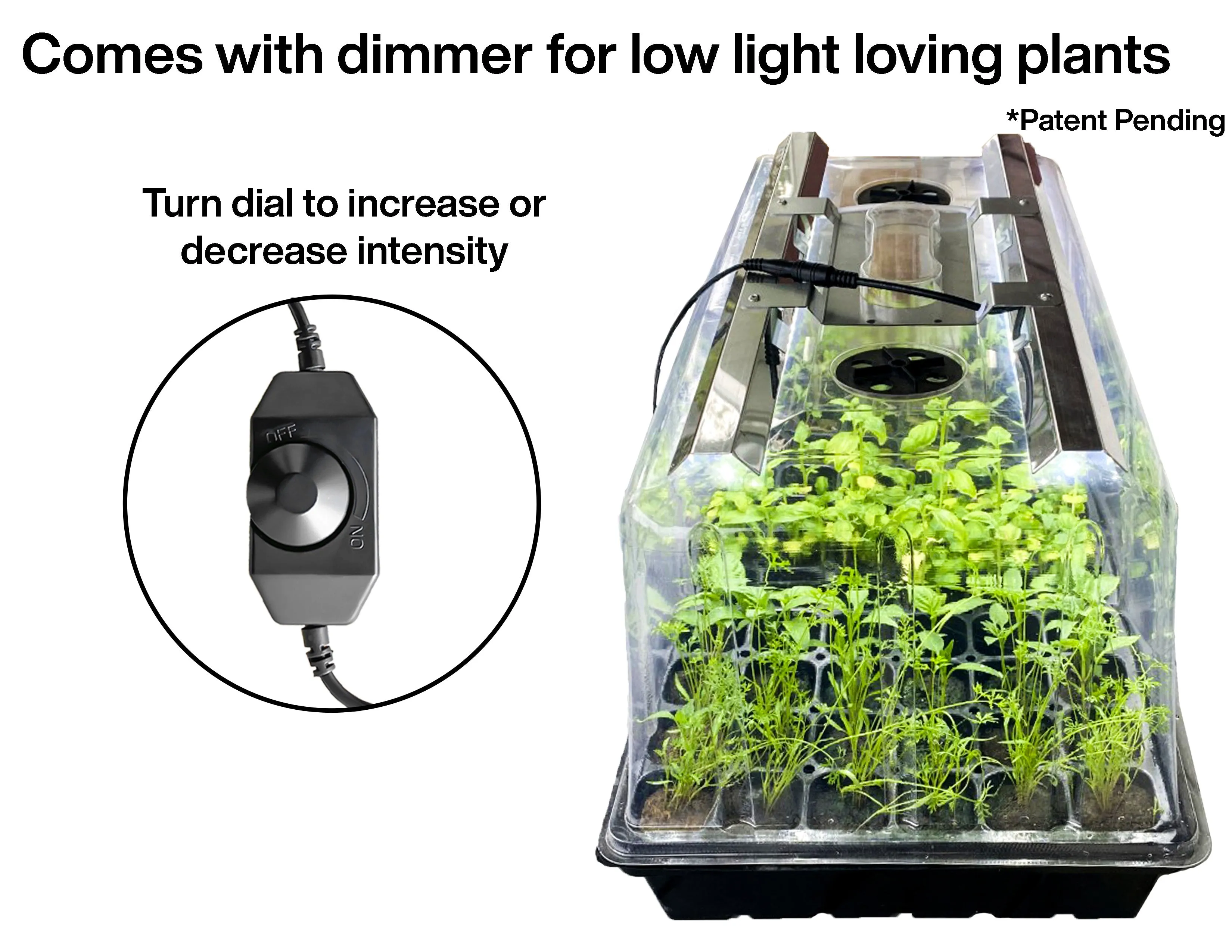 Viagrow Seedling Station Deluxe Kit with LED Grow Light, Propagation Dome, 4x Durable Seedling Tray, 50 Coir Seedling Starters & Heat Mat (EA)