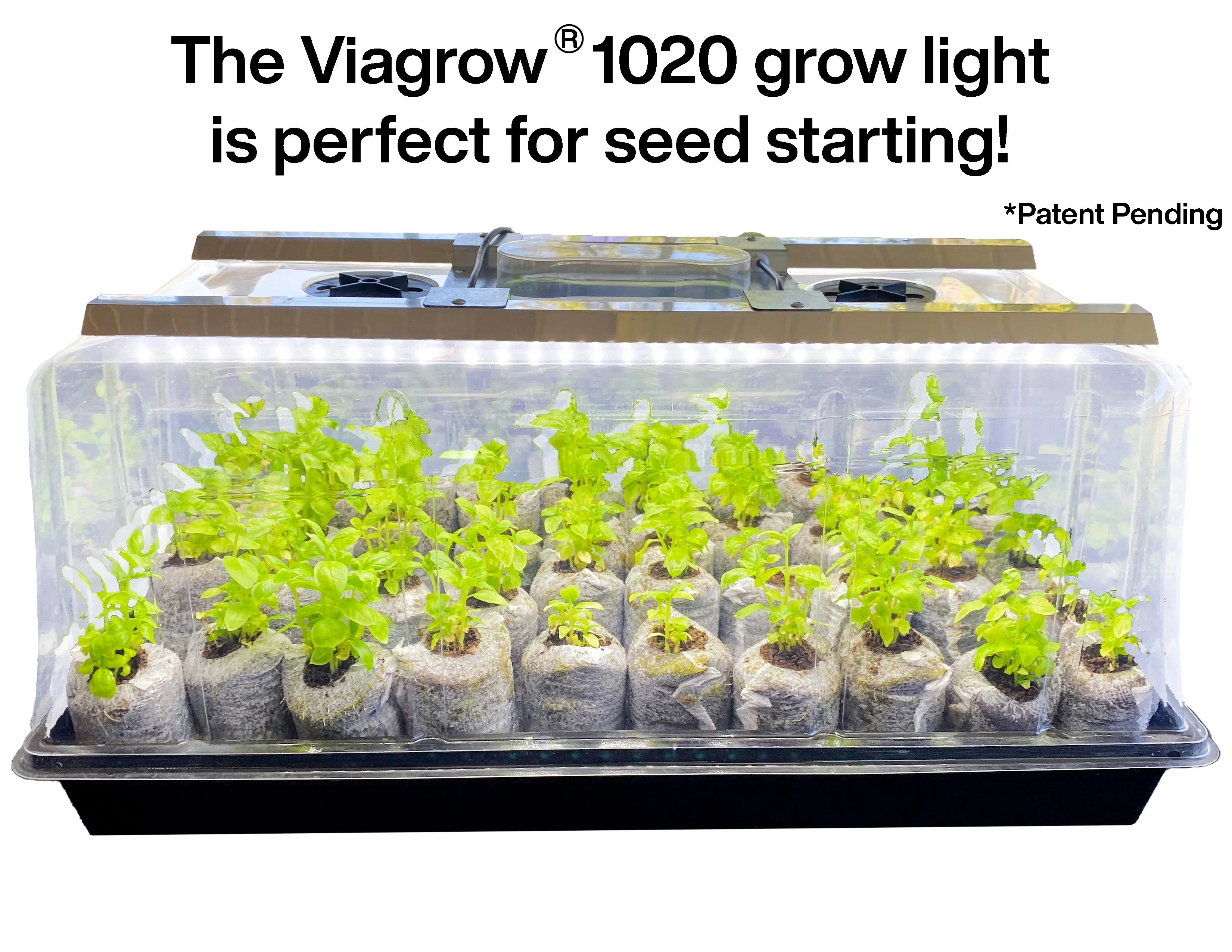 Viagrow Seedling Station Deluxe Kit with LED Grow Light, Propagation Dome, 4x Durable Seedling Tray, 50 Coir Seedling Starters & Heat Mat (EA)