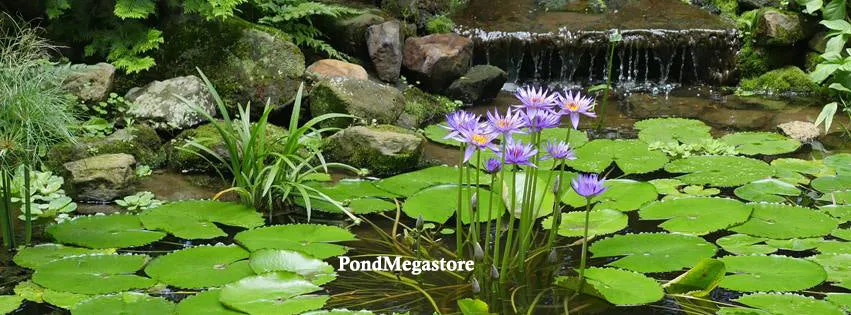 Waterlily World Pond Tabs   Humates (Choose Size)